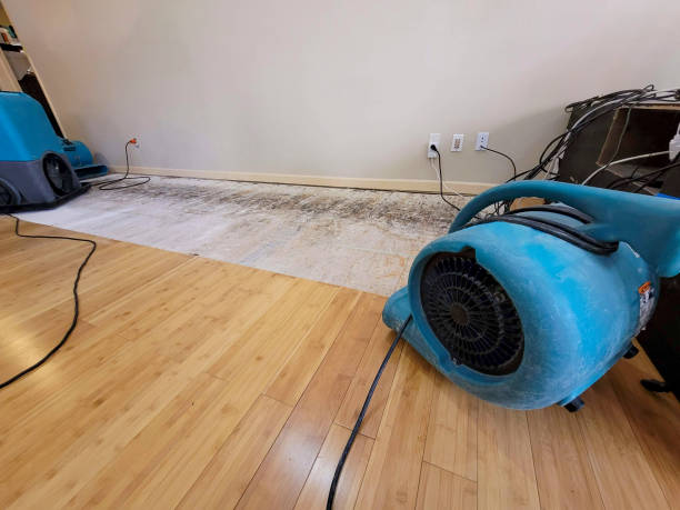 Professional Sewage Cleanup technician working in Saint Charles, MO